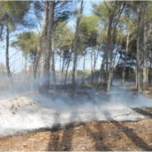 Ariano Irpino informa sul pericolo  di  incendi boschivi  – Ordinanza del Sindaco e  numeri utili ai quali  i cittadini possono segnalare  l’avvistamento.