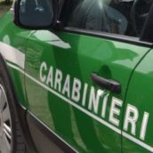 Controlli dei carabinieri del Gruppo Forestale di Avellino