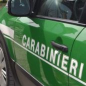 Violazione alle norme in materia ambientale:due denunce da parte dei Carabinieri
