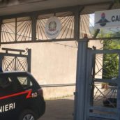 Roghi agricoli: 60enne di Quindici denunciato dai Carabinieri