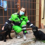A Lucca dei volontari portano a spasso i cani di chi è in quarantena