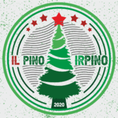 Riparte il Pino Irpino per la sua settima edizione