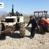 Sannio, azione di prevenzione e repressione dei reati contro il patrimonio forestale da parte dei Carabinieri