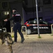 Montesarchio, Carabinieri eseguono mirati servizi di controllo del territorio