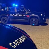 Forino, sorpresi a rubare all’interno di un castagneto: arrestati tre giovani di origini napoletane