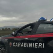 Controlli a tappeto nella Valle Ufita: i Carabinieri scoprono una piccola piantagione di canapa e sventano furti agli stabilimenti industriali