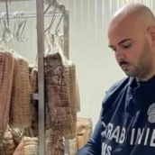 Salerno, Avellino, Benevento: i Nas sequestrano 10 tonnellate di alimenti