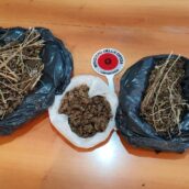 Ceppaloni, trovati in possesso di hashish e marijuana: due arresti